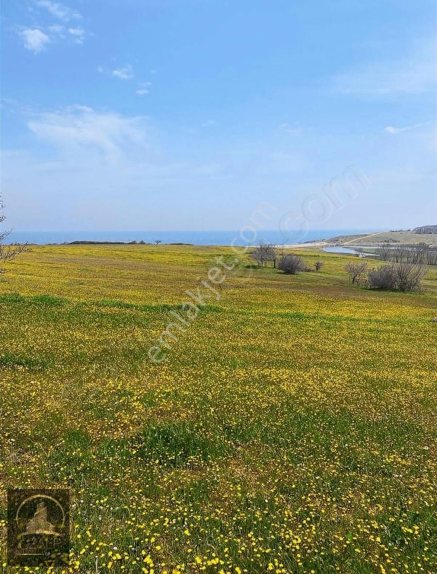 Beğendik Sahilinde [4.298m2] Denize 300 M Kadastrol Yol Mevcut