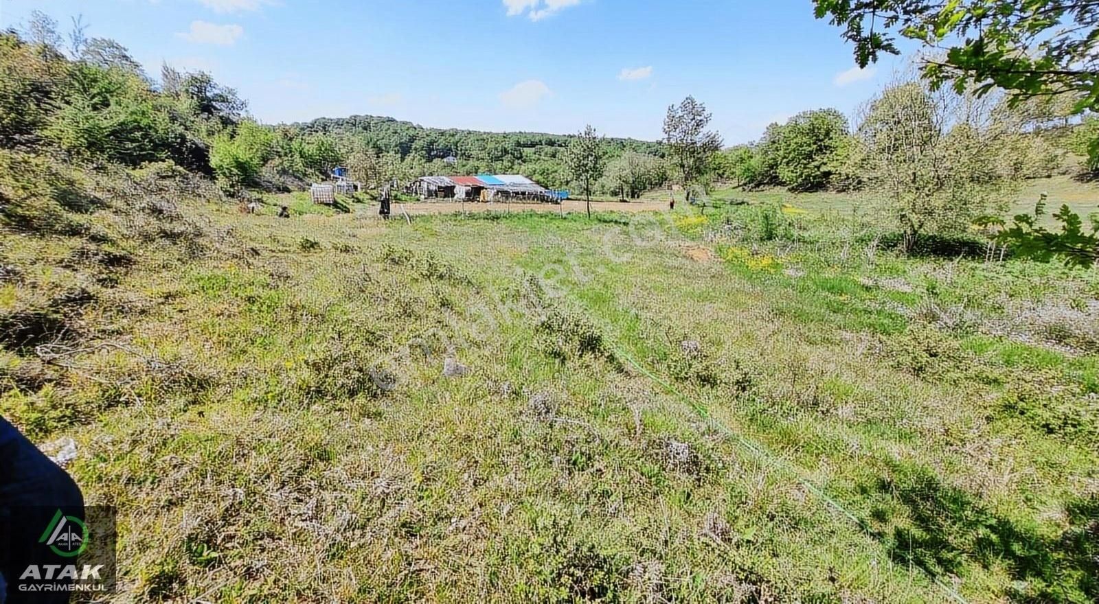 Gebze Kargalıda 601 M2 Tek Tapu Arazi