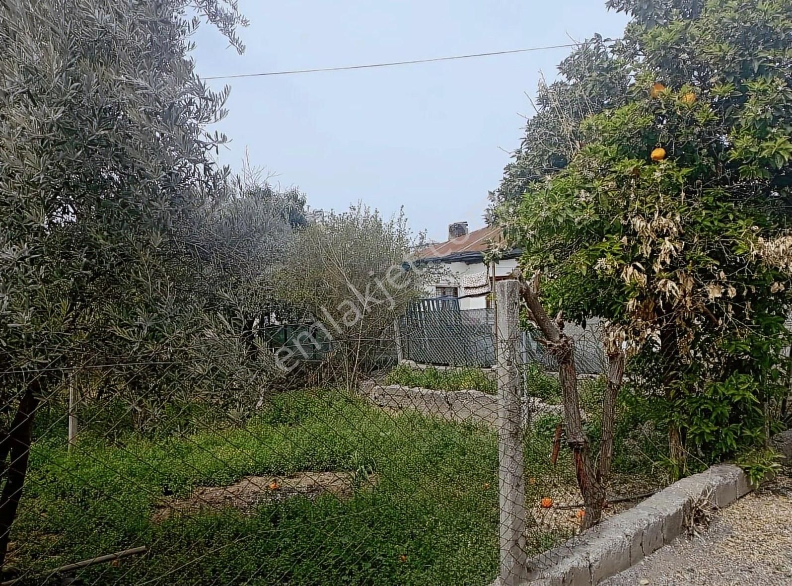 Gök Emlaktan Cemalpaşada 1233 M2 Arsa Ve İşyeri