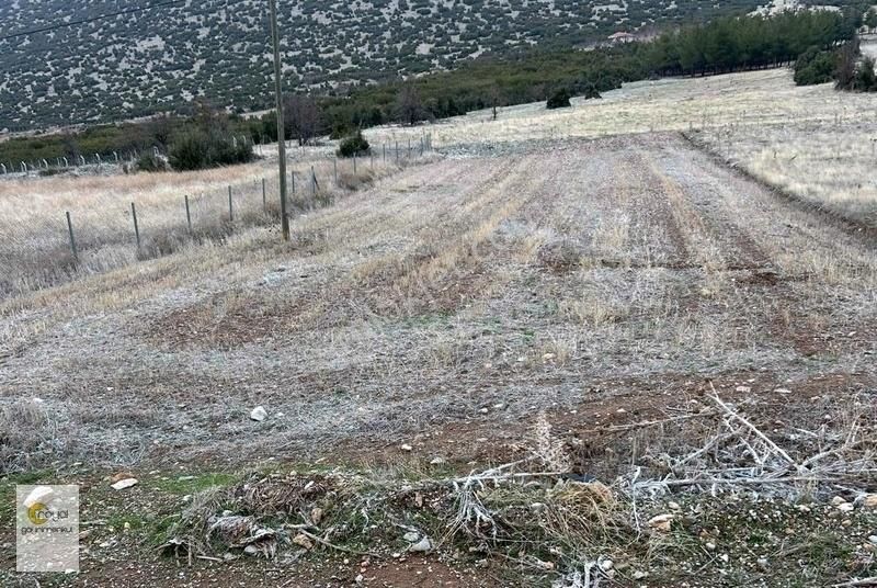 Tavas Garipköy'de Asfalt Yol Hobi Bahçesine Uygun 1000 M2 Tarla