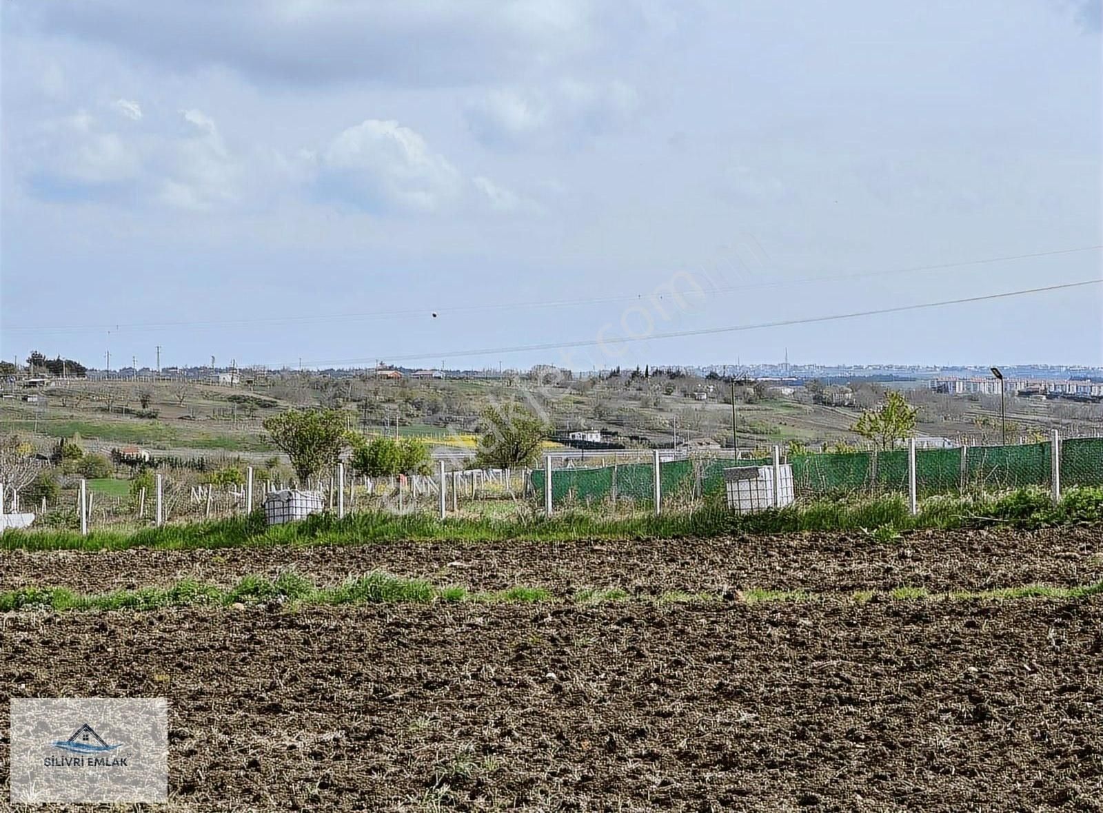 Fenerköyde Köy Dibinde Tek Tapu Uygun Fiyat 2420 M2 Tarla