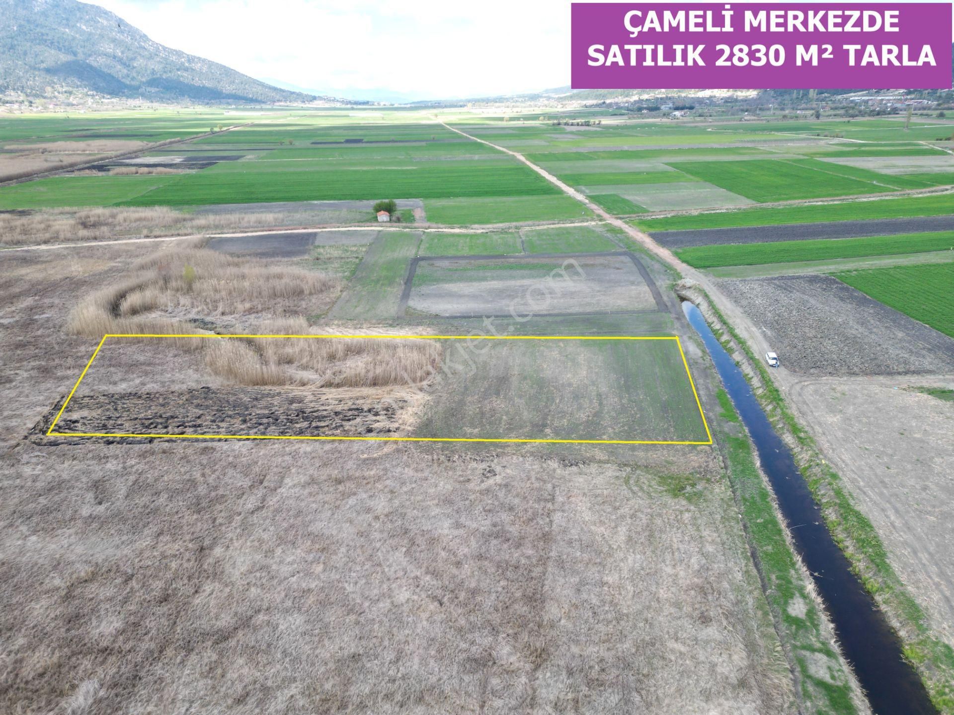 🦋lobby Fortis'ten Satılık Çameli Merkezde 2830 M² Tarla🦋