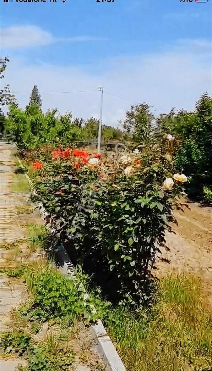 Bursa Osmangazi Yeniceabat Kiralık Hobi Bahçesi Ve 1+1 Ev