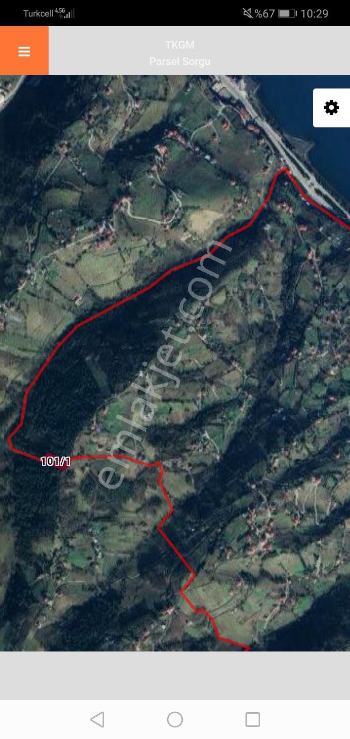 Salacık Acil Satılık Arsa