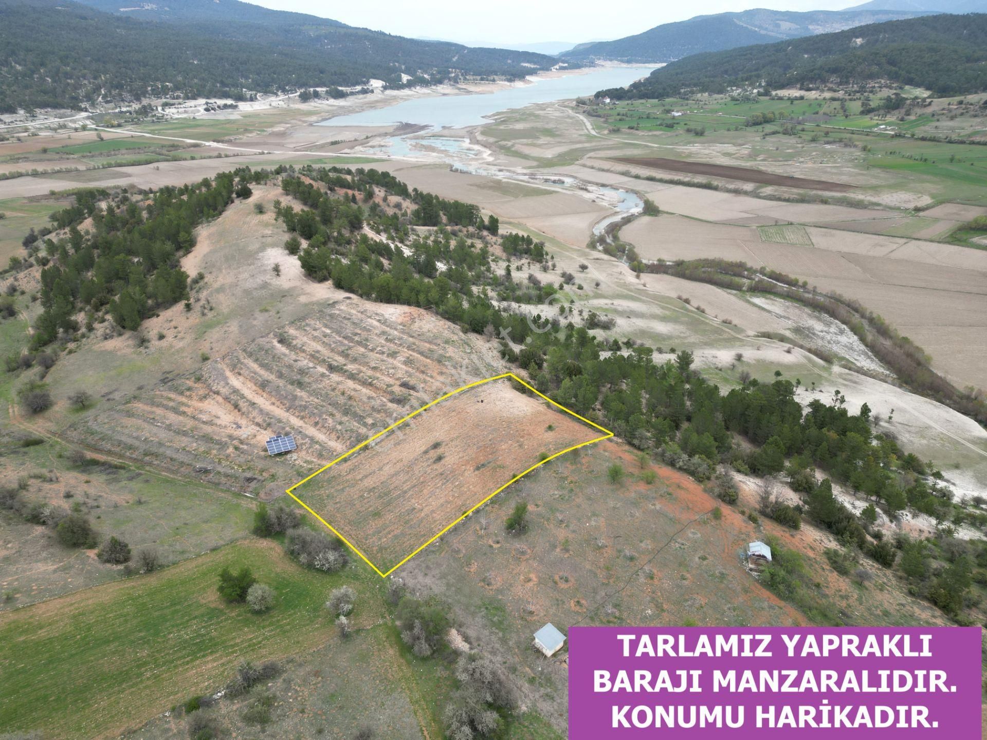 🦋lobby Fortis'ten Satılık Gölhisar İbecik'te 2780 M² Tarla🦋 - Görsel 4