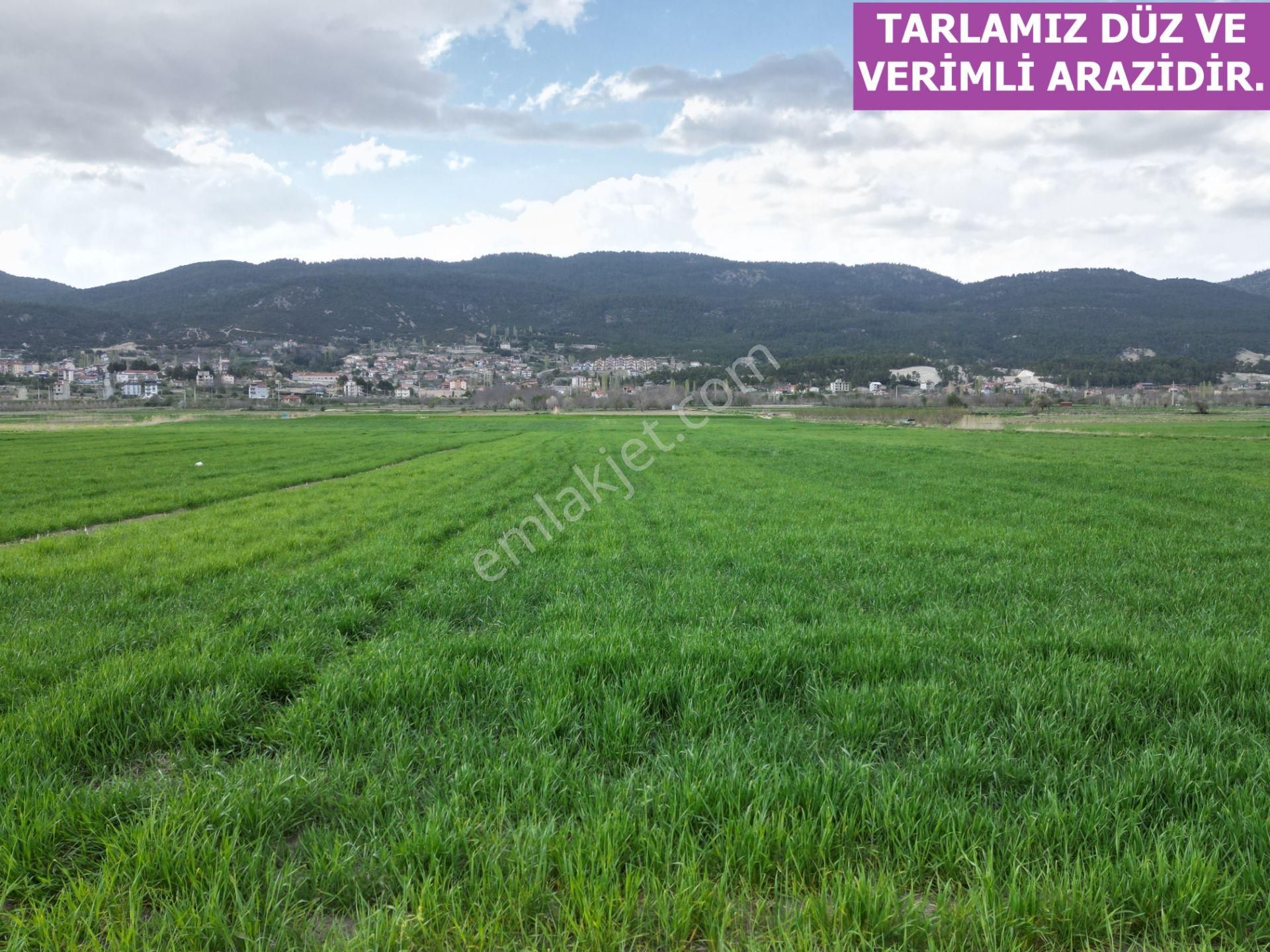🦋lobby Fortis'ten Satılık Çameli Merkezde 6752 M² Fırsat Tarla🦋 - Görsel 2