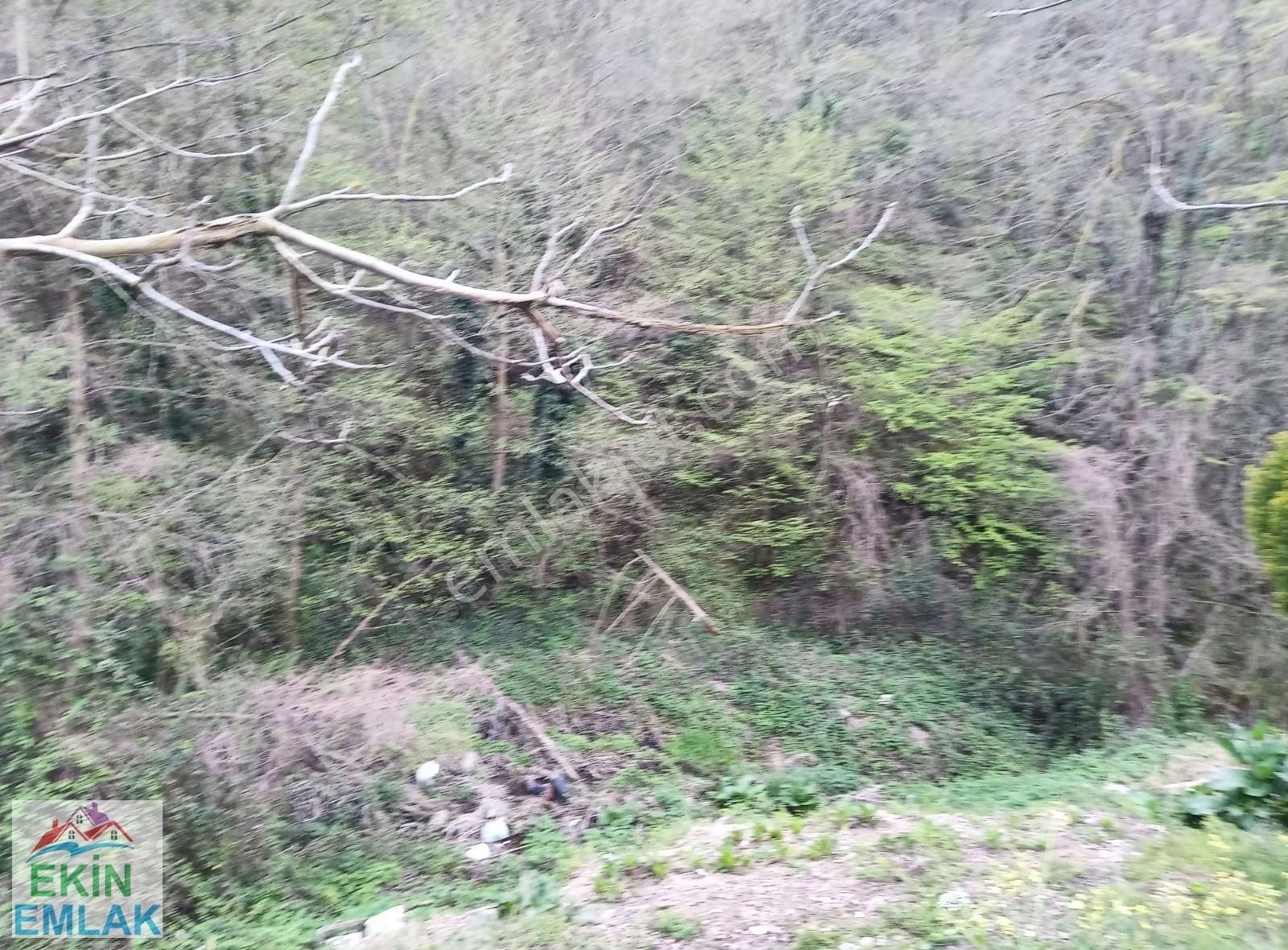 Ekin'den Çavuşbaşında Satılık Müstakil Ev - Görsel 2