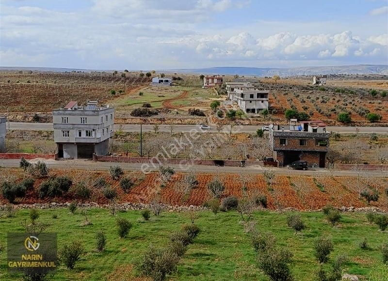 Yavuzeli Büyükkarakuyu Mah. 250 Zeytin Elektirik Bol Manzara