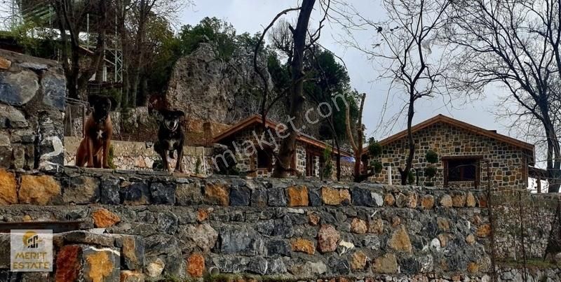 Mahmutlar Gözüküçüklü Mah. Satılık Taş Ev Ve Tarla