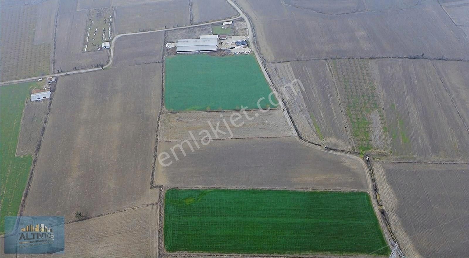 Süpren (düzyazı) Mah.yerleşim Yerine 300m Mesafede 4900 M2 Tarla