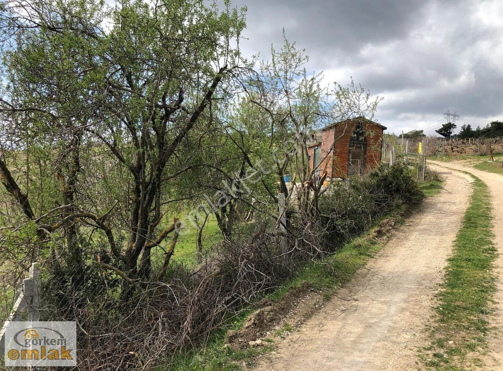 Yakaköy'de İçinde Tiny House Bulunan Bahçe Satılık. Kod:1722
