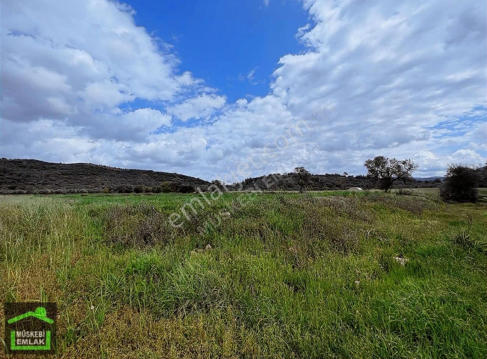 Mumcular Merkeze Yakın Tarla - Görsel 5
