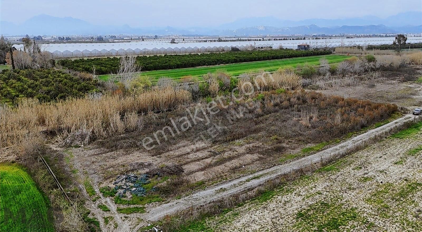 Mag Gayrimenkul'dan Boğazkentte 5050 M2 Müstakil Tarla