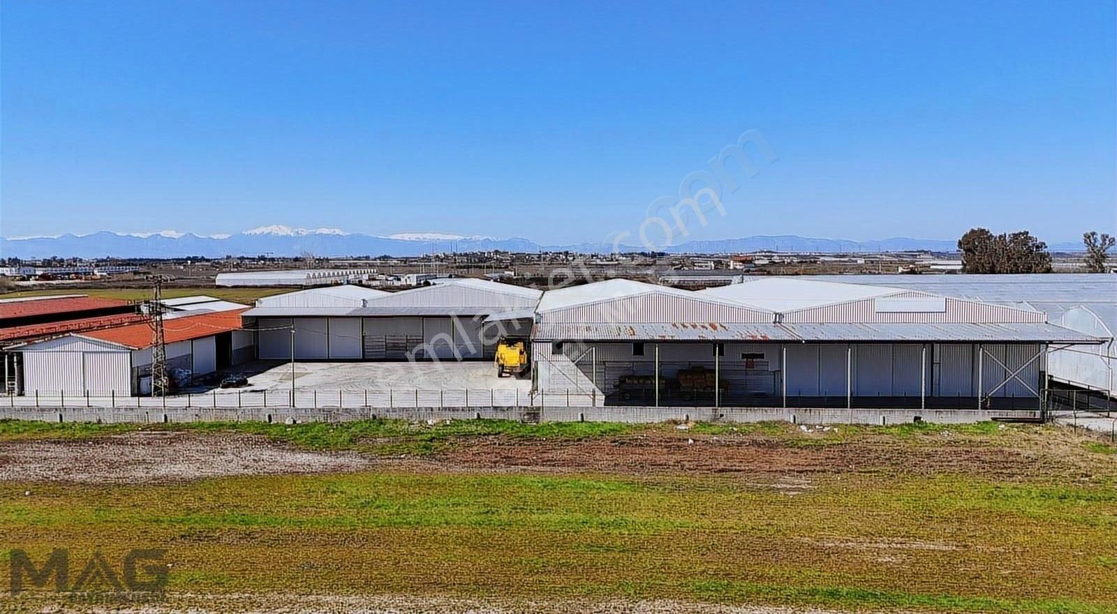 Mag Gayrimenkul'dan 3.500 M2 Kapalı Sistem Depo