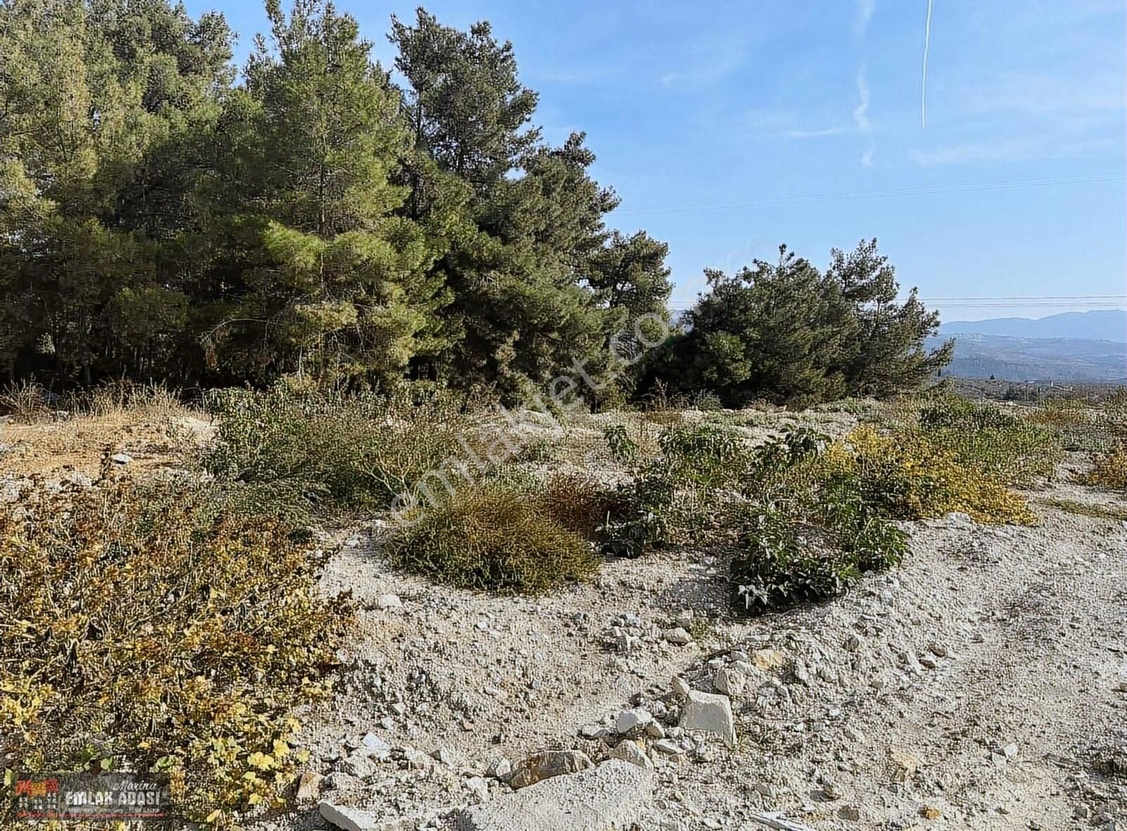 Kuşadası Andız Mevkiinde Satılık 9.400 M2 Tarla