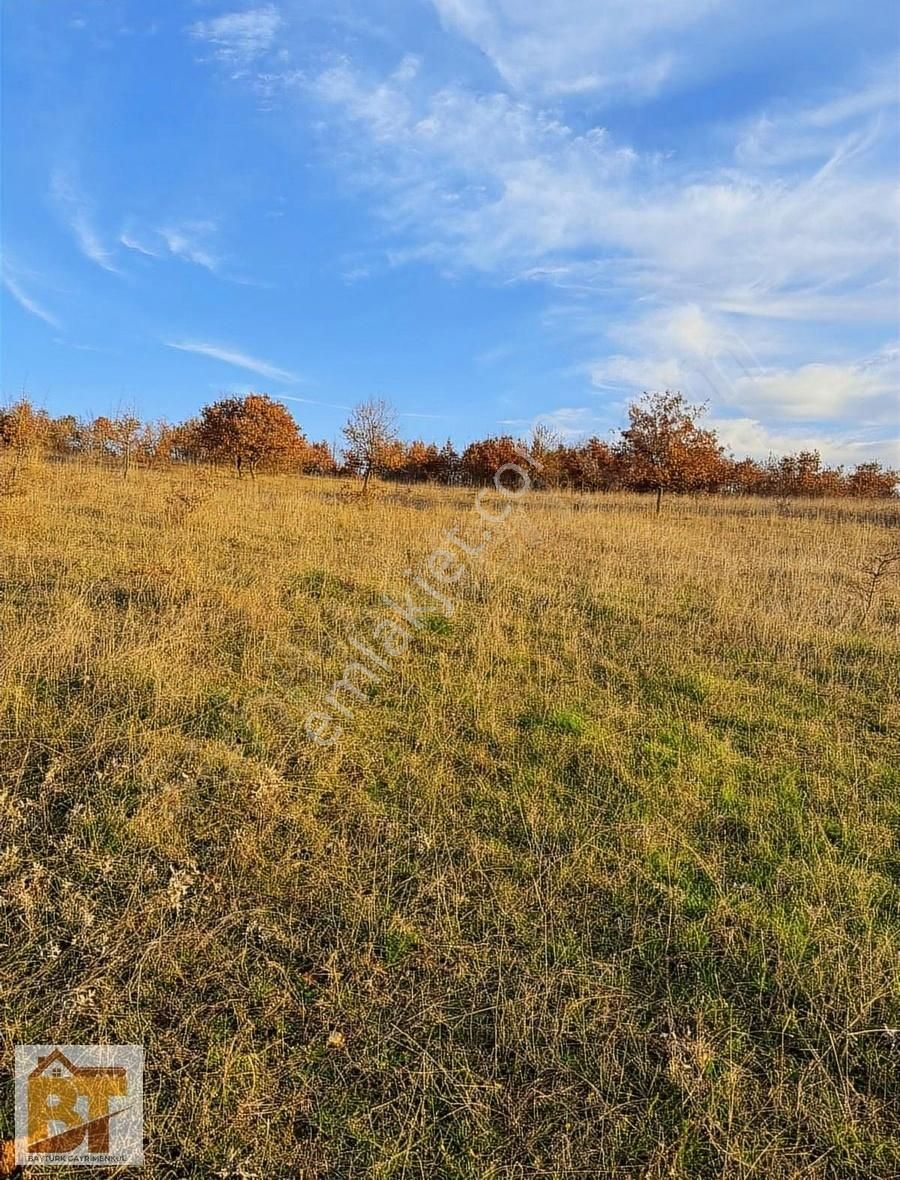 Hasanağa Sanayi Genişleme Planında Satılık 6523m2 Tarla