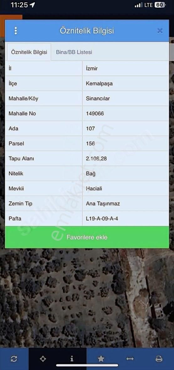 Kemalpaşa Sinancılar Köyünde Satılık Kiraz Bahçesi - Görsel 10