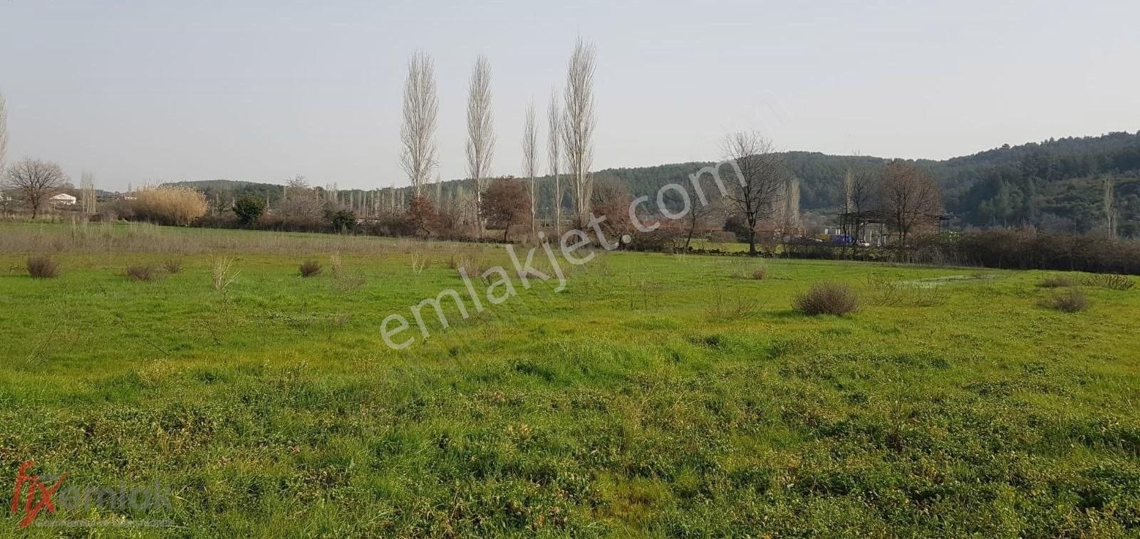 Yenice'de 4915 M2 Satılık Tarla