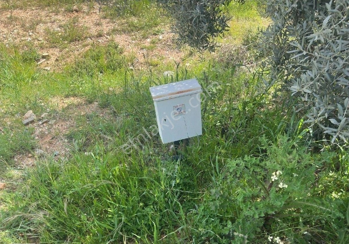 Manisa Turgutlu Bozkır Mh 2300m2 Elektrik Suyu Var