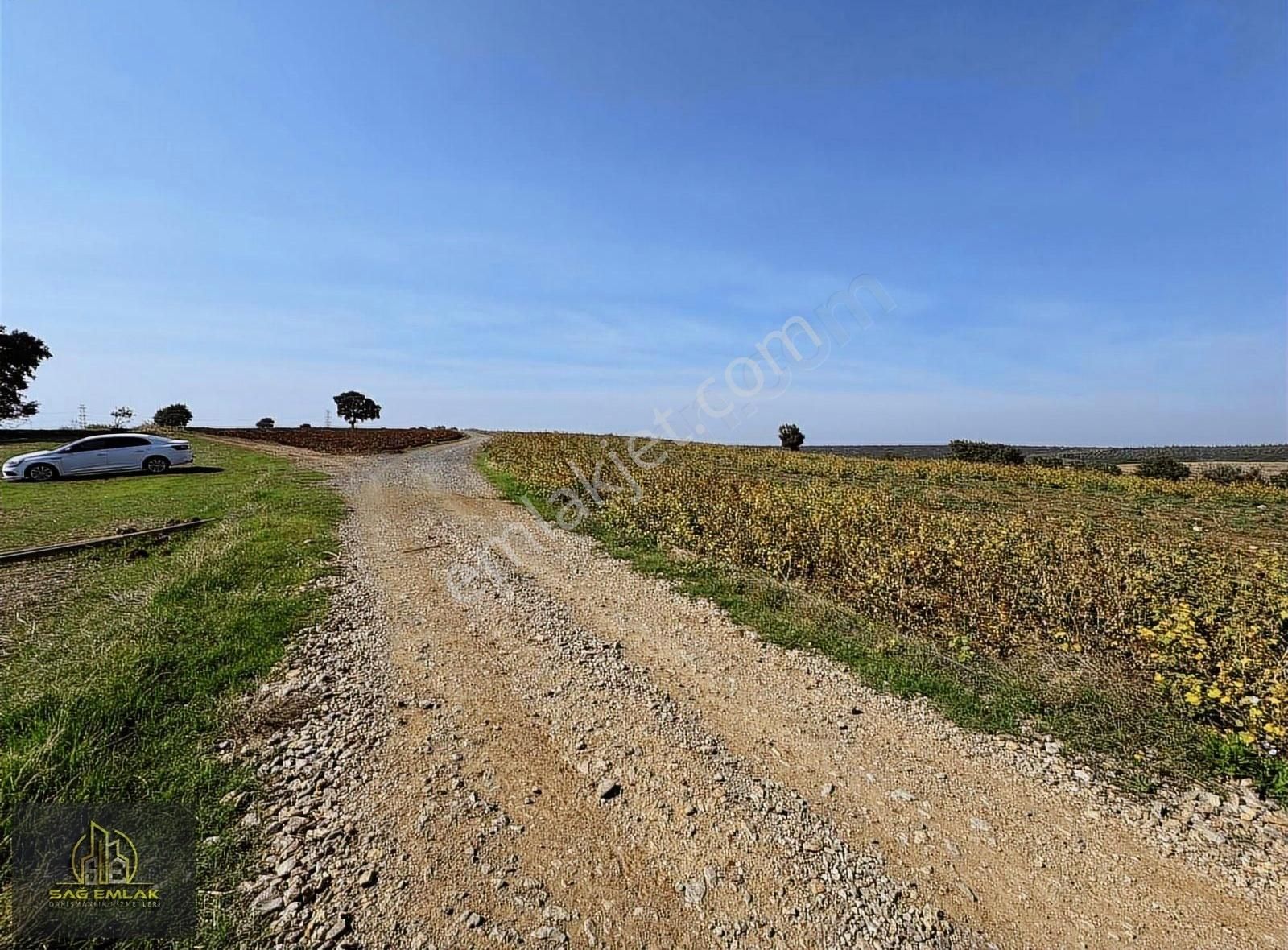Karacabey Doğlada Satılık 9.900m2 Tarla Tek Tapu - Görsel 9
