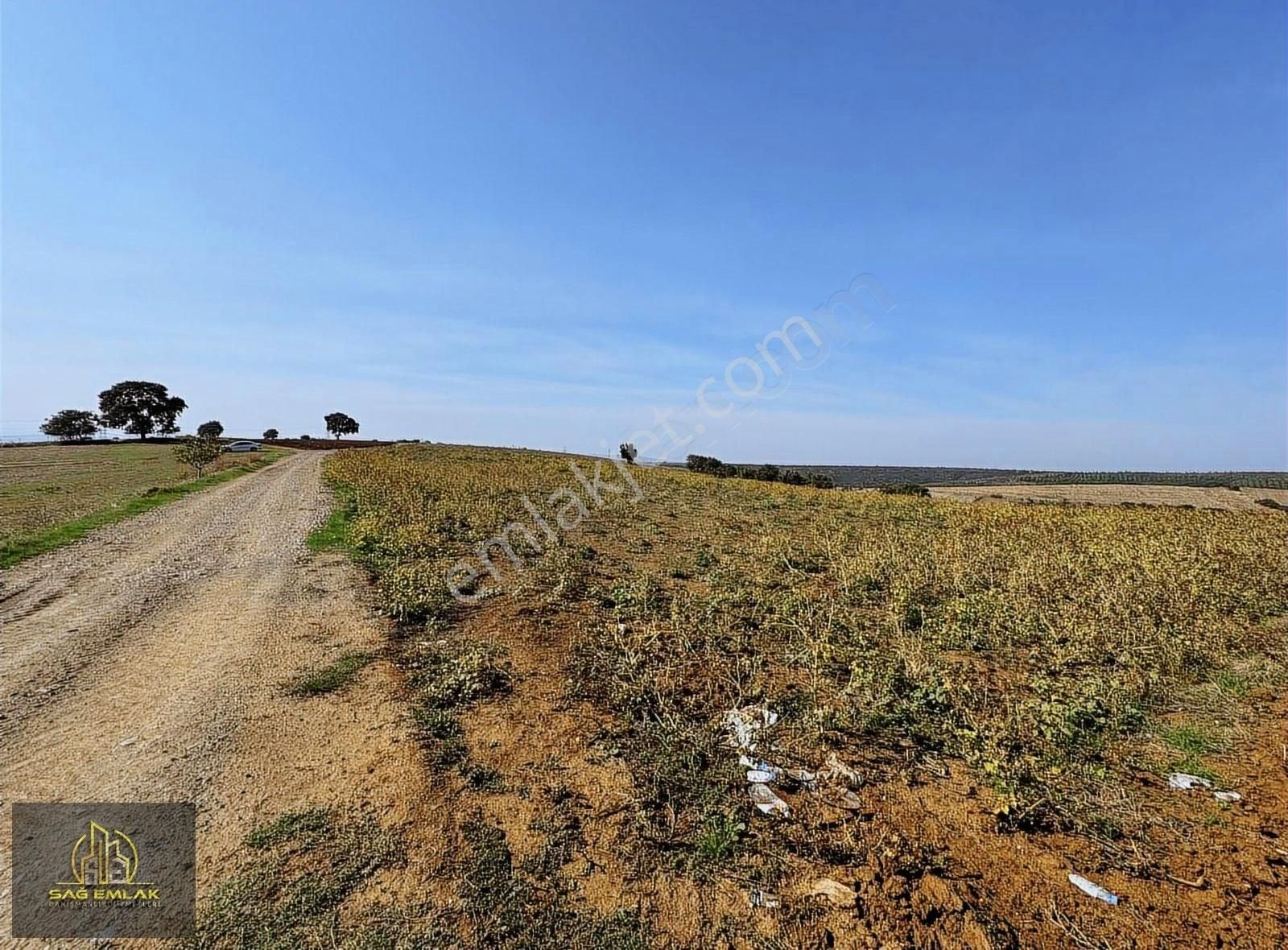 Karacabey Doğlada Satılık 9.900m2 Tarla Tek Tapu - Görsel 7