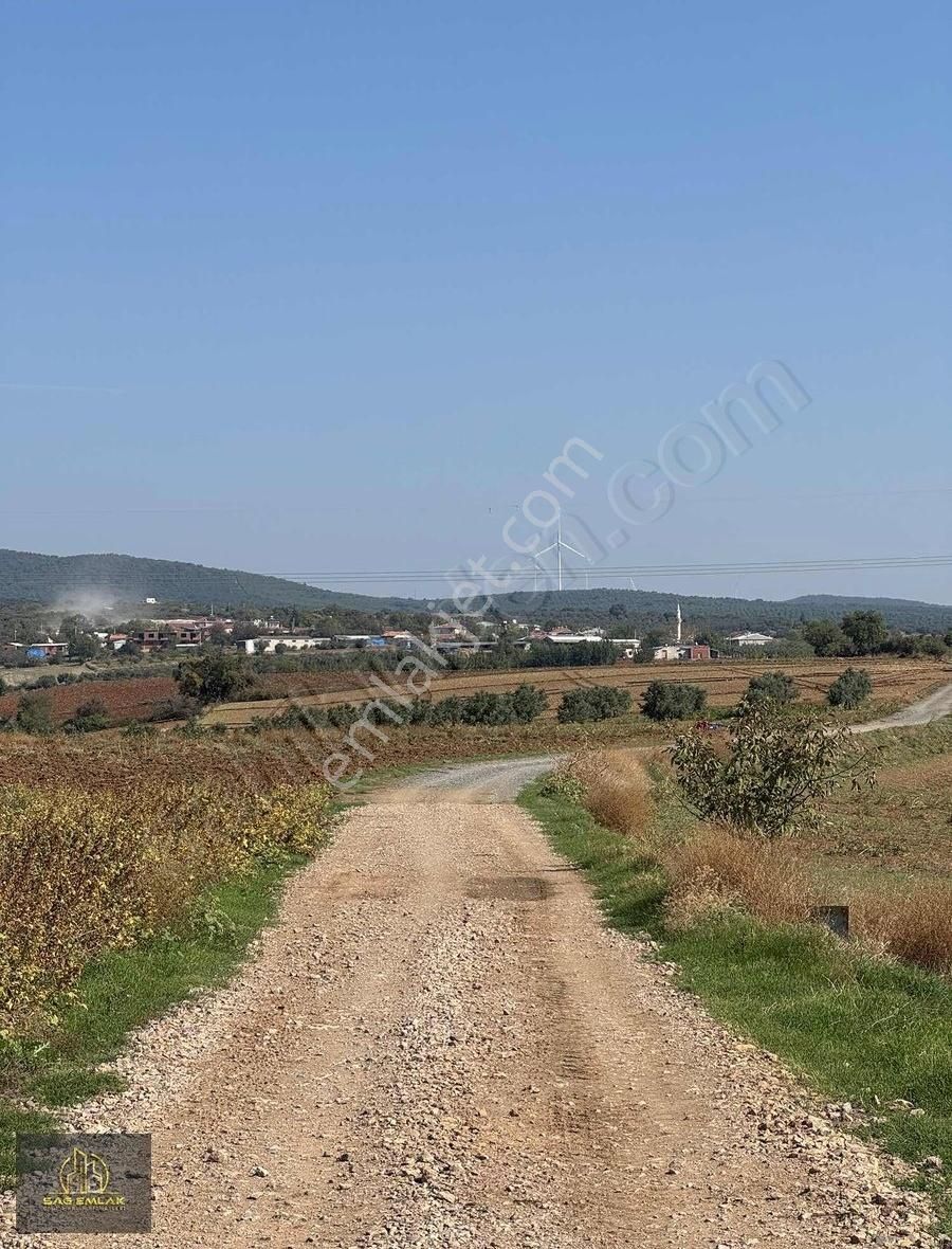 Karacabey Doğlada Satılık 9.900m2 Tarla Tek Tapu - Görsel 6