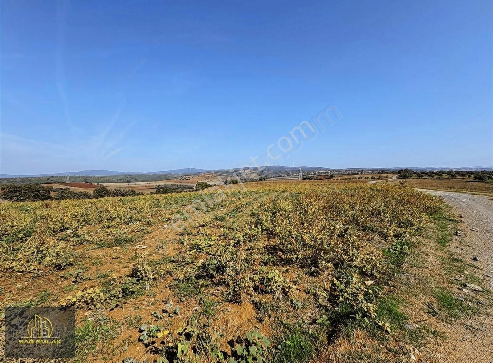 Karacabey Doğlada Satılık 9.900m2 Tarla Tek Tapu - Görsel 2