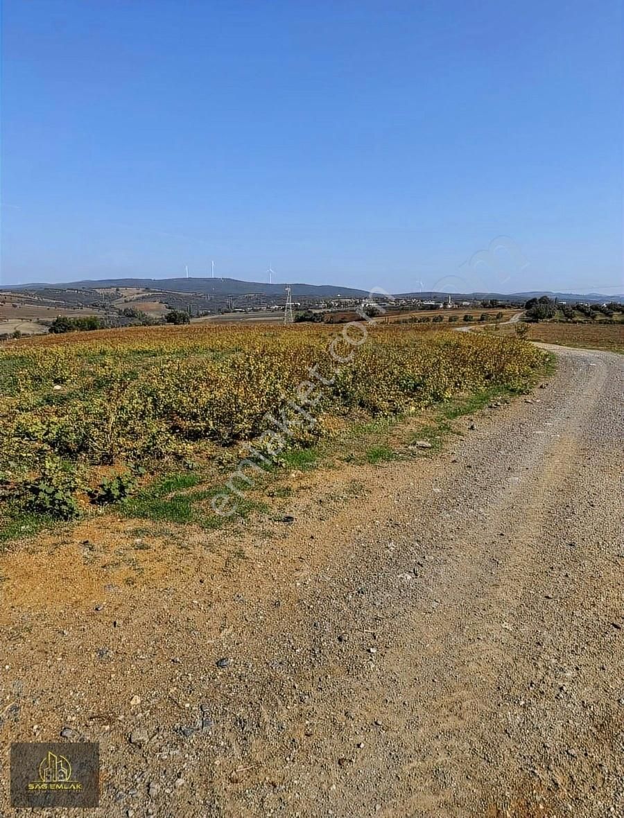 Karacabey Doğlada Satılık 9.900m2 Tarla Tek Tapu - Görsel 4