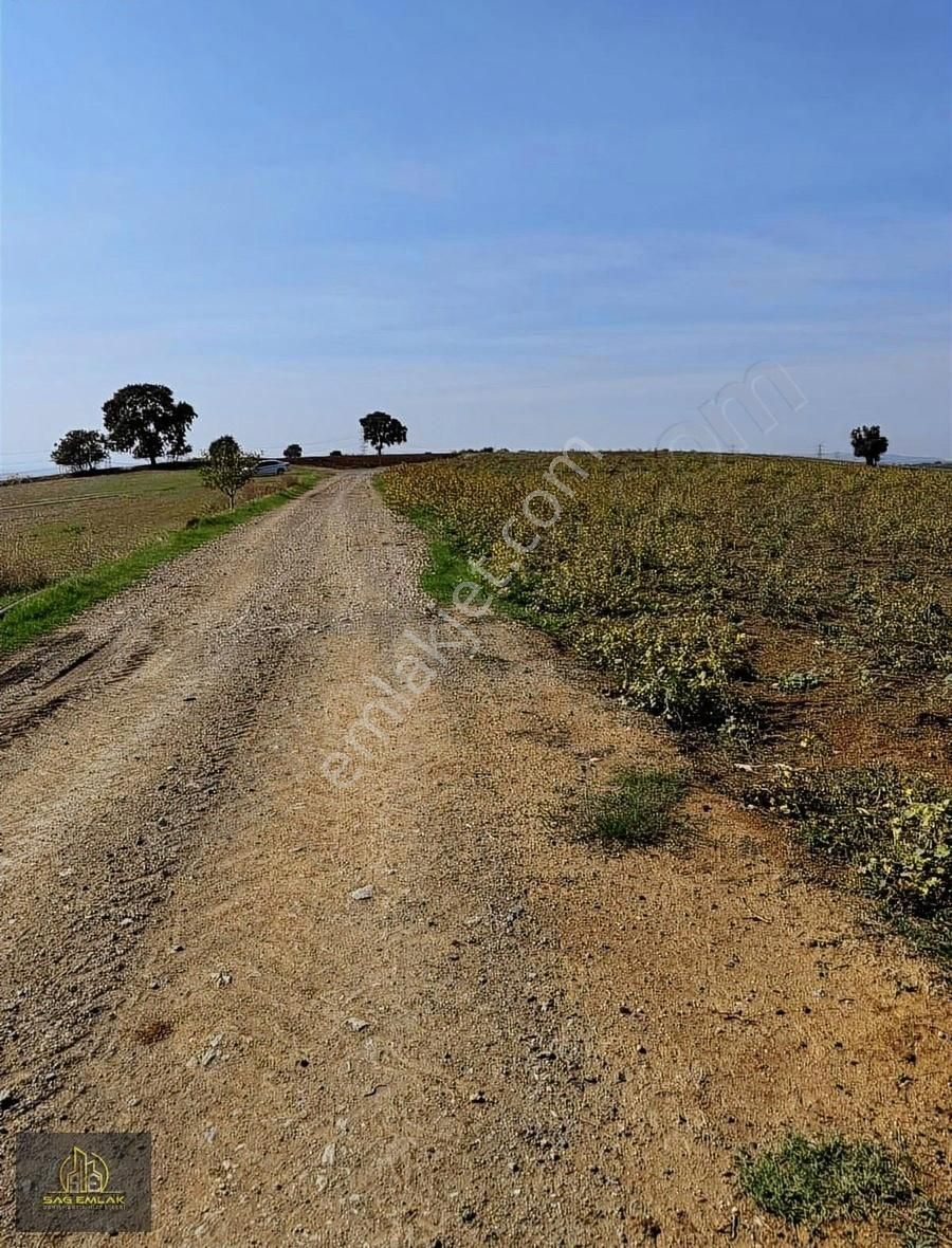 Karacabey Doğlada Satılık 9.900m2 Tarla Tek Tapu - Görsel 10