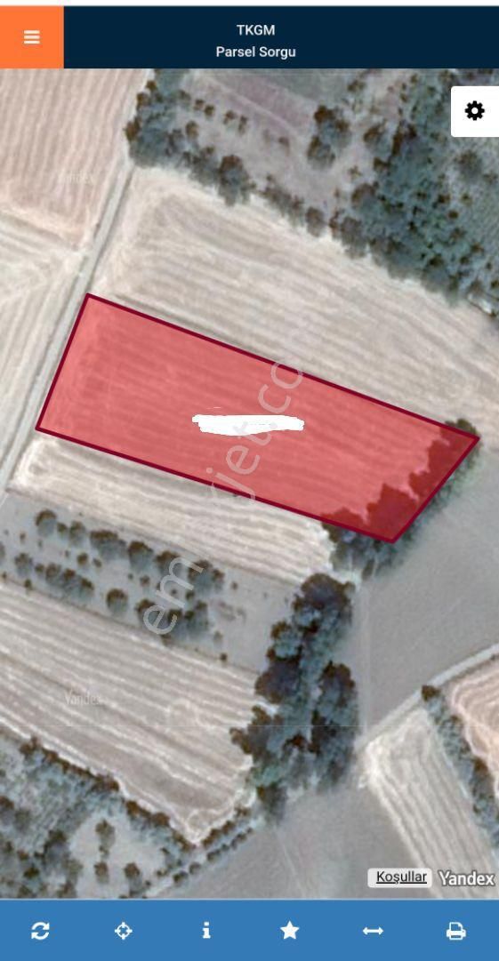 Küçük Bürüngüz'de Satilik 7000 Metre Tarla