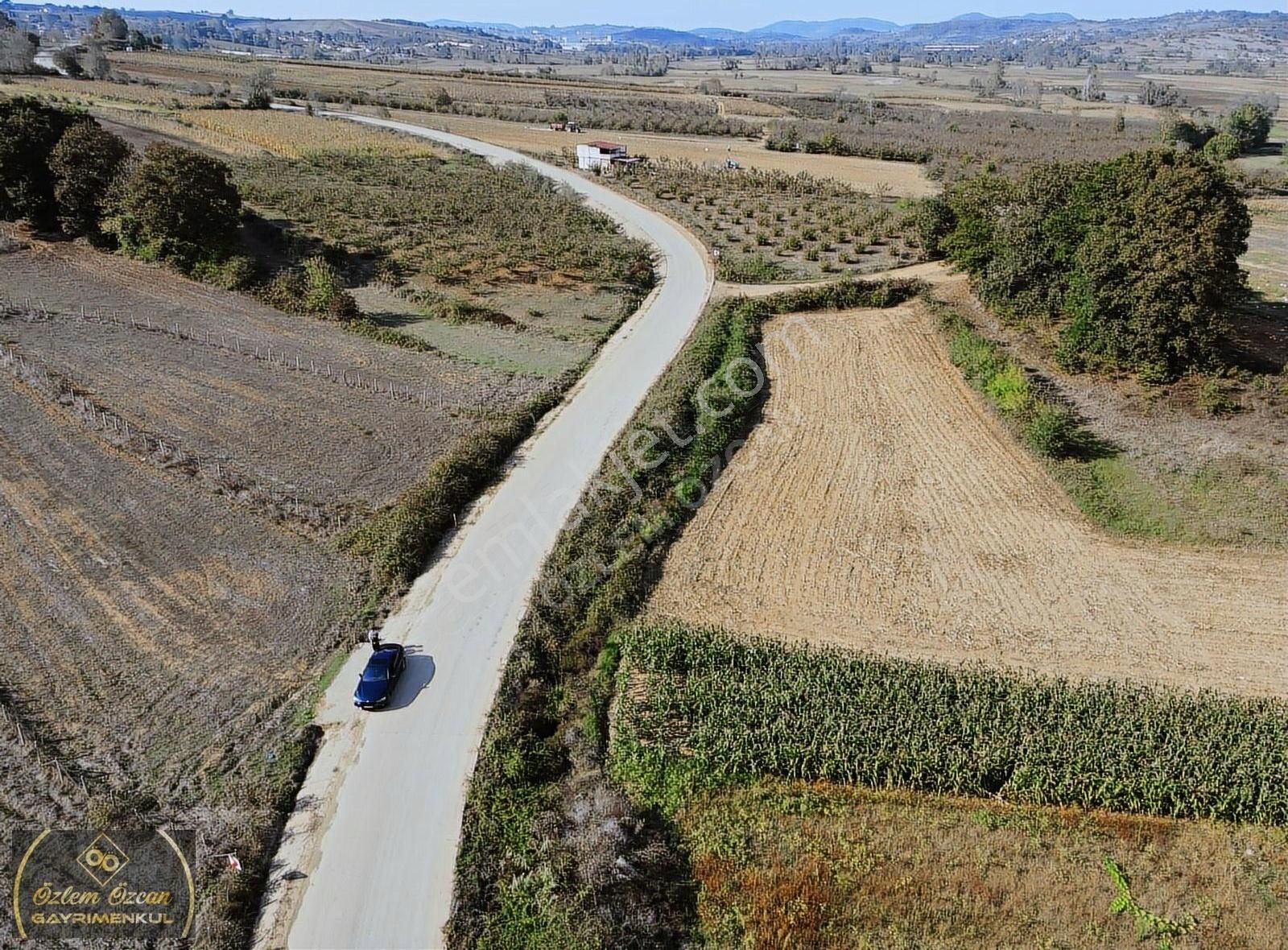 Kandıra Ferizli De Tarla