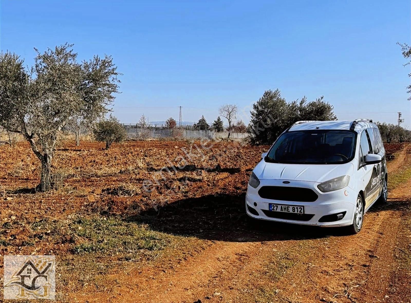 Körkün İnönü Mah. Satlık Tek Tapu 686 M2 Bağ Evlik Arazi