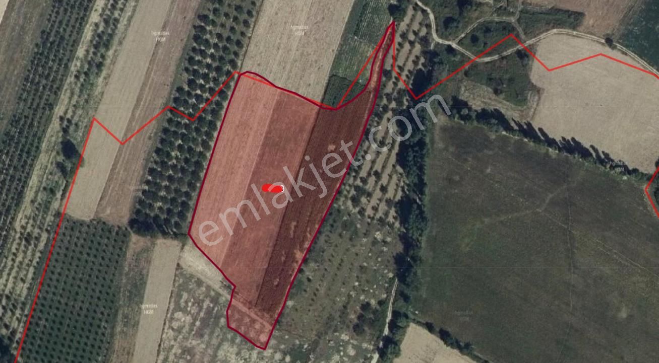 A-k Emlaktan Atakentte 15.400 M2 Göle Ve Meraya Yakın Tarla