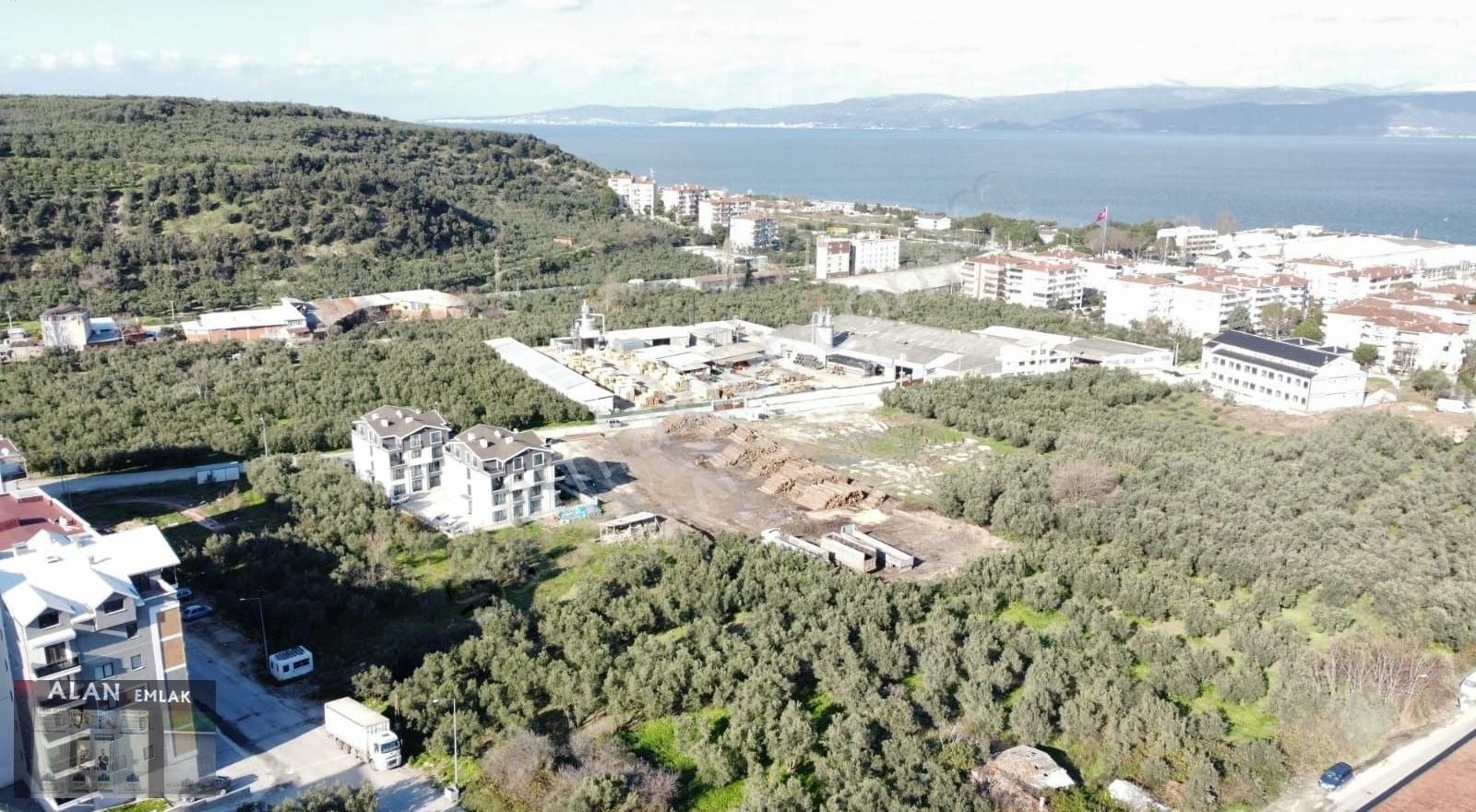 343 M2 Arsa