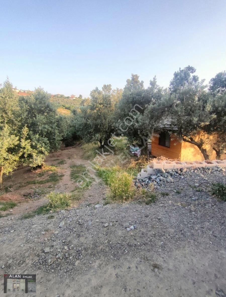 Mirzaobada 366m2
