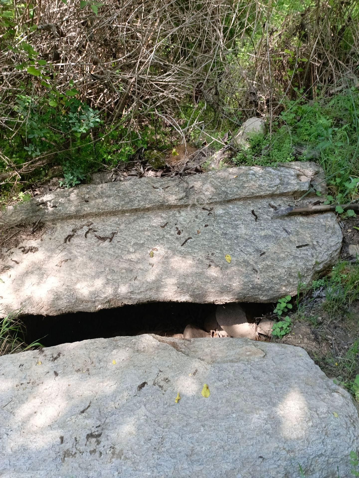 Bozdoğan Koyuncular Mah Satılık - Görsel 12