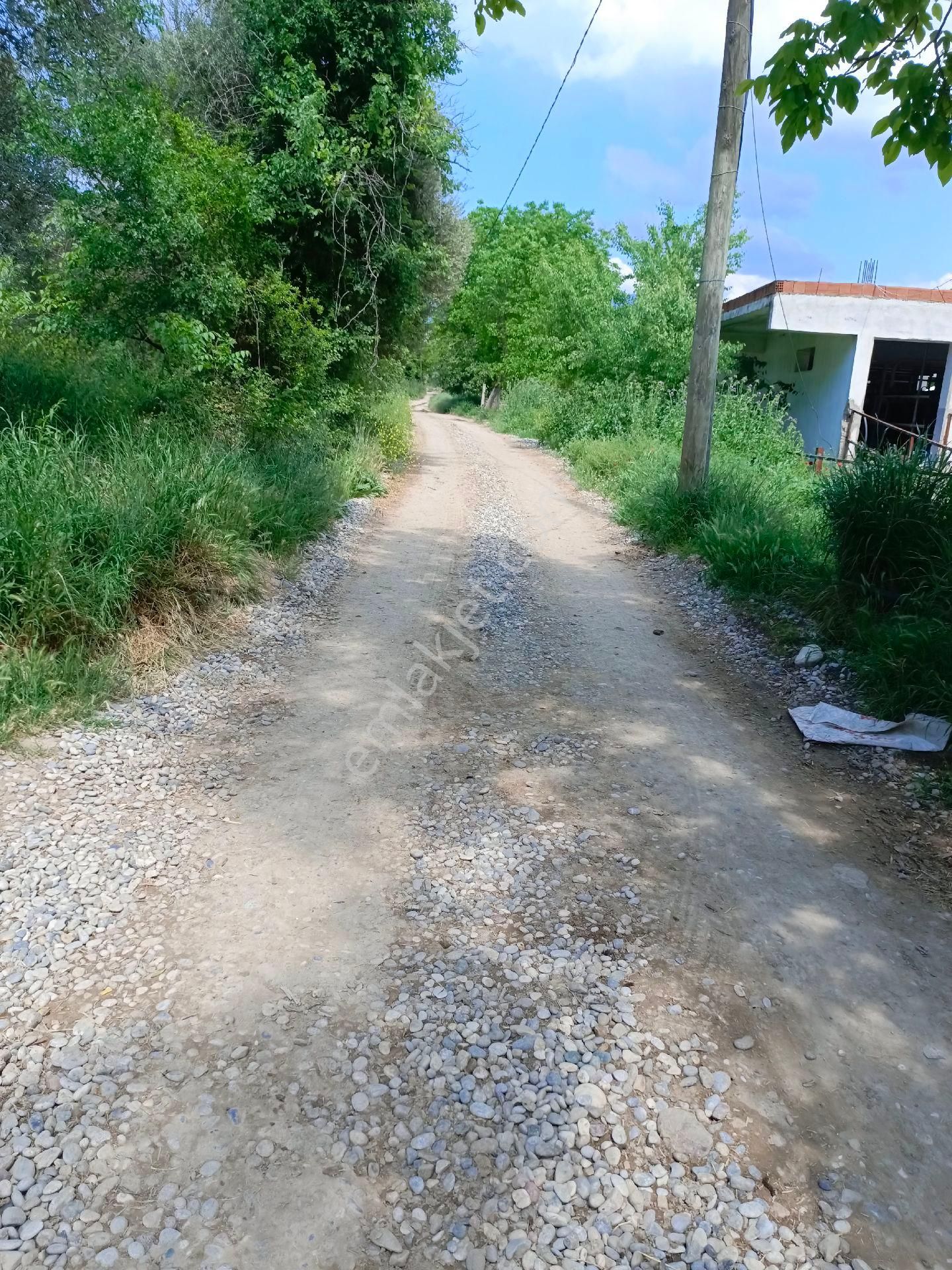 Bozdoğan Koyuncular Mah Satılık - Görsel 2