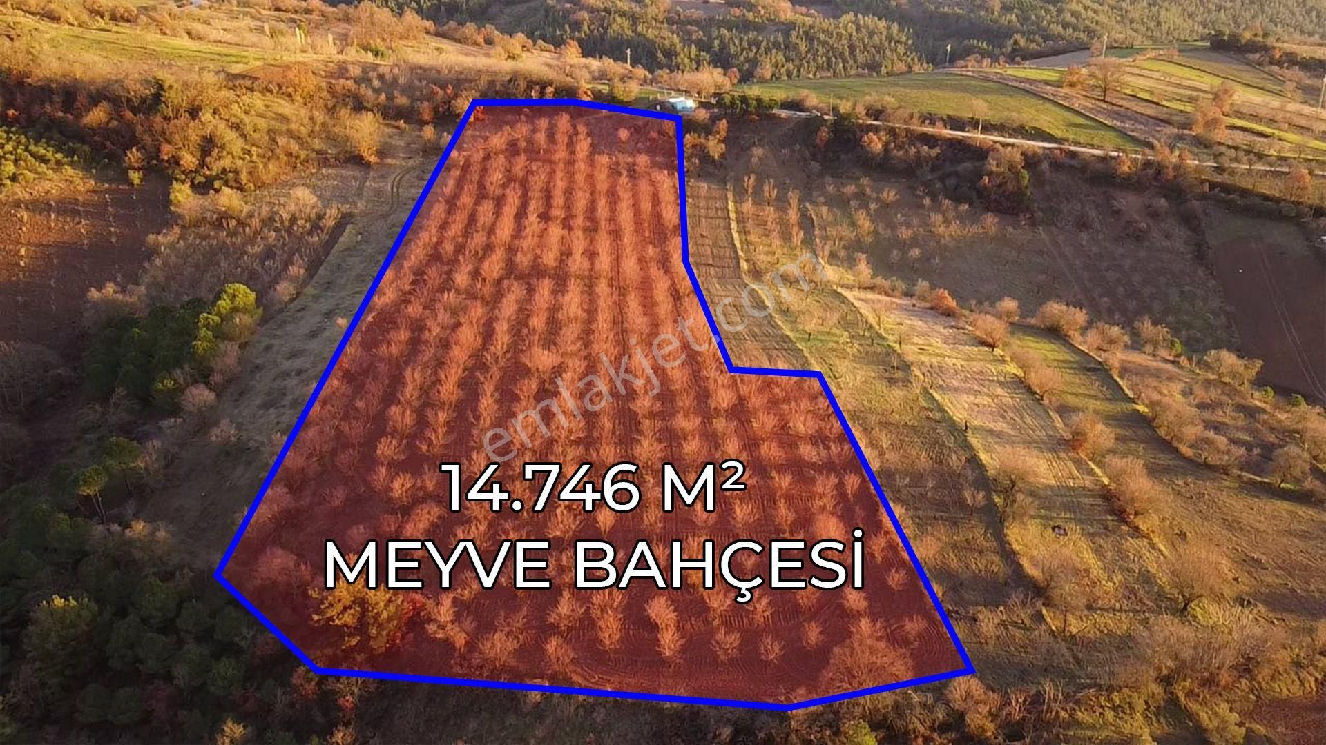 Remax İnci'den Mestanlar Mah 14746 M2 Satılık Meyve Bahçesi