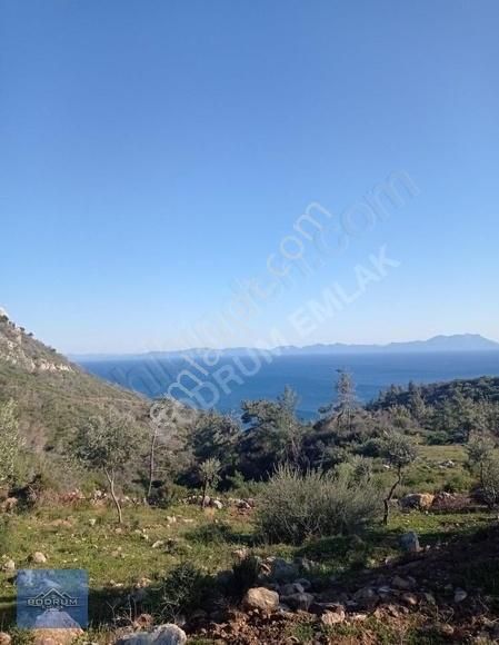 Deniz Manzaralı Arazi Tek Tapu Yolu Var