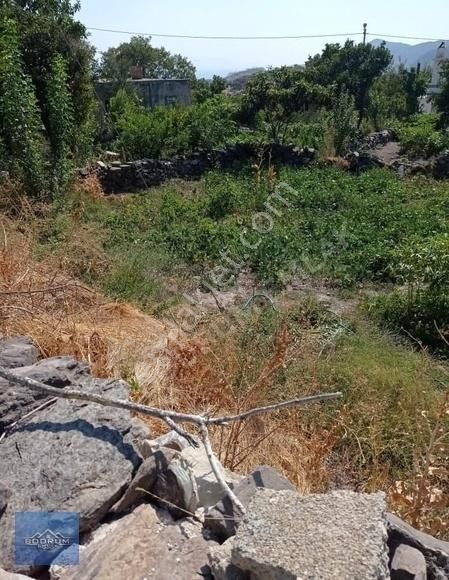 Bodrum Mazı Yakını Köyiçi Denize 5dk Suyu Yolu Var