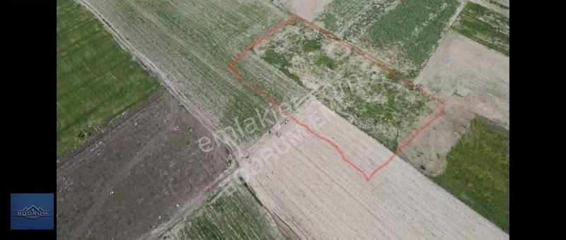 Denize 130 Metre Kiralık Tarla Datça