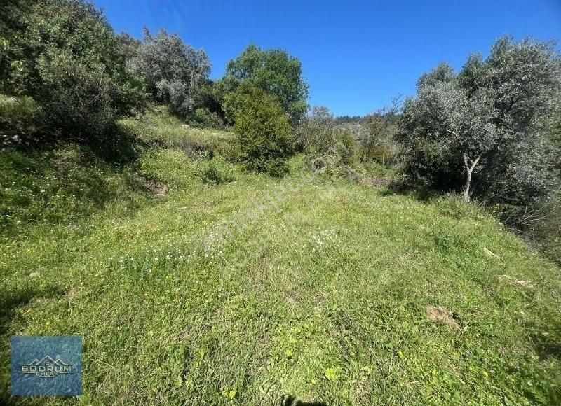 Bodrum Güvercinlik Yakını Satılık Arsa 250m2 Ev Yapılabiliyor