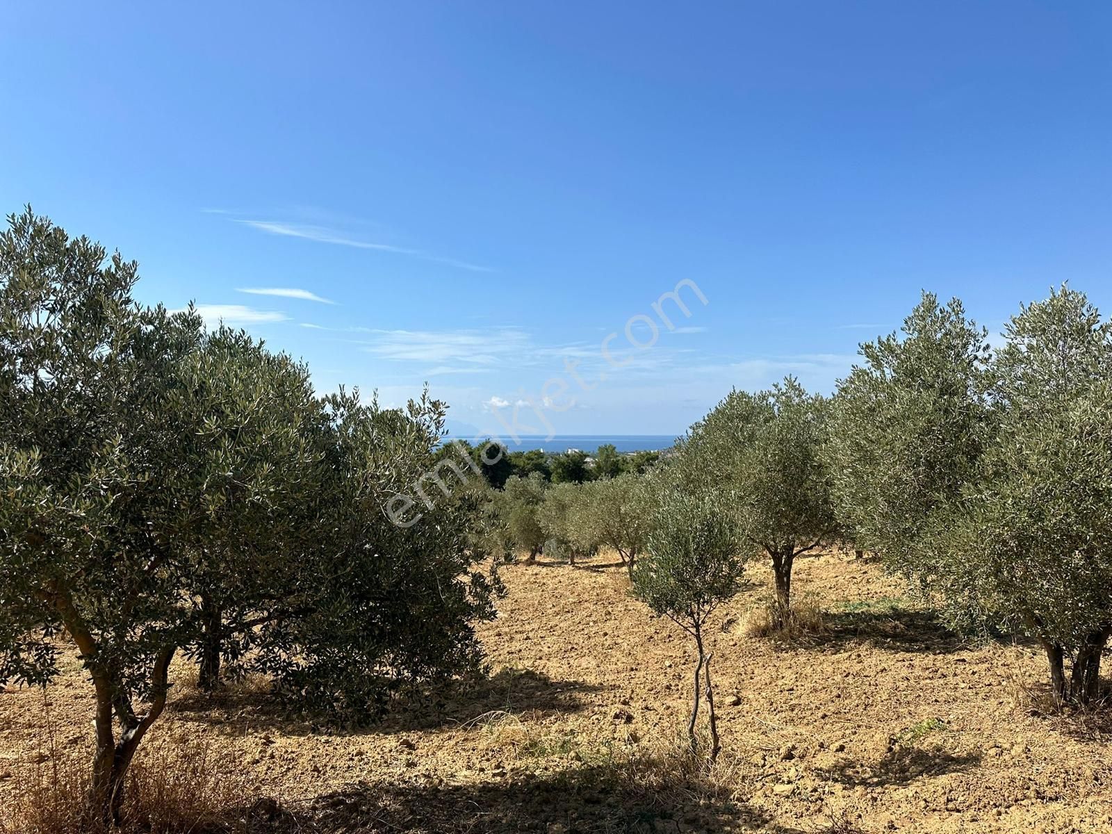 Kuşadası Yaylaköy De Full Manzaralı Arazi