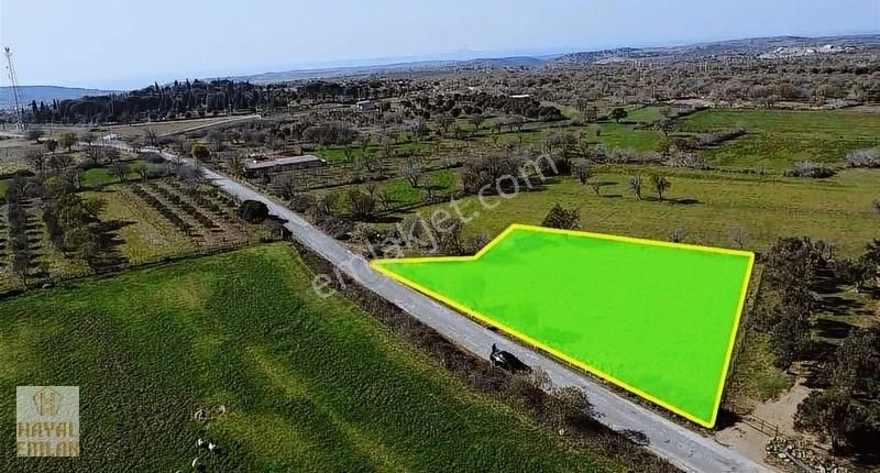 Ezine Ulu Köyde Köye Çok Yakın Asfalt Cehpe 1650 M2 Tarla ..