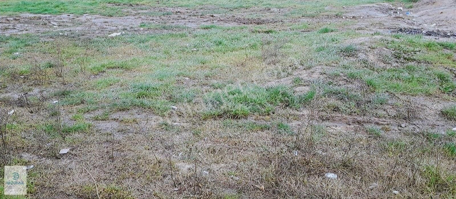 B.oğlunda Sahile Yakın Yüzde Kırk İmarlı Arsa Satılık