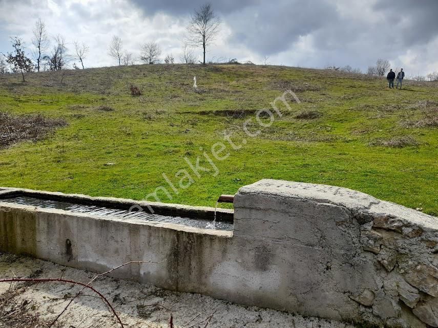 Roma' Dan Cemiyet Mh Satılık Tarla - Görsel 6