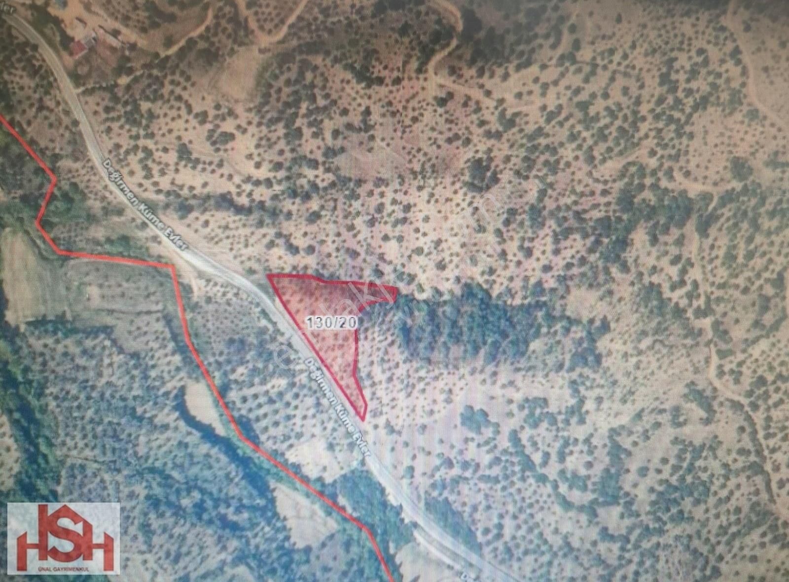 Beydağ Mutaflar Mahallesinde 4,667 M2 Acil Satılık Zeytinlik