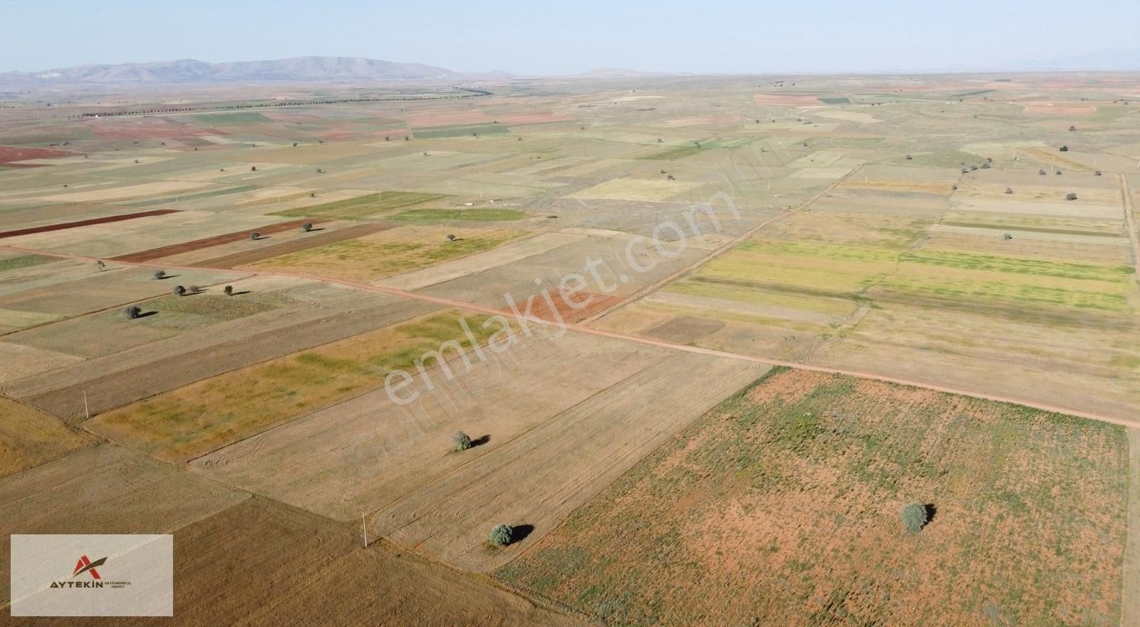 Hacılar'da 9.305m2 Müstakil Yolu Suyu Var Halı Gibi Tarla