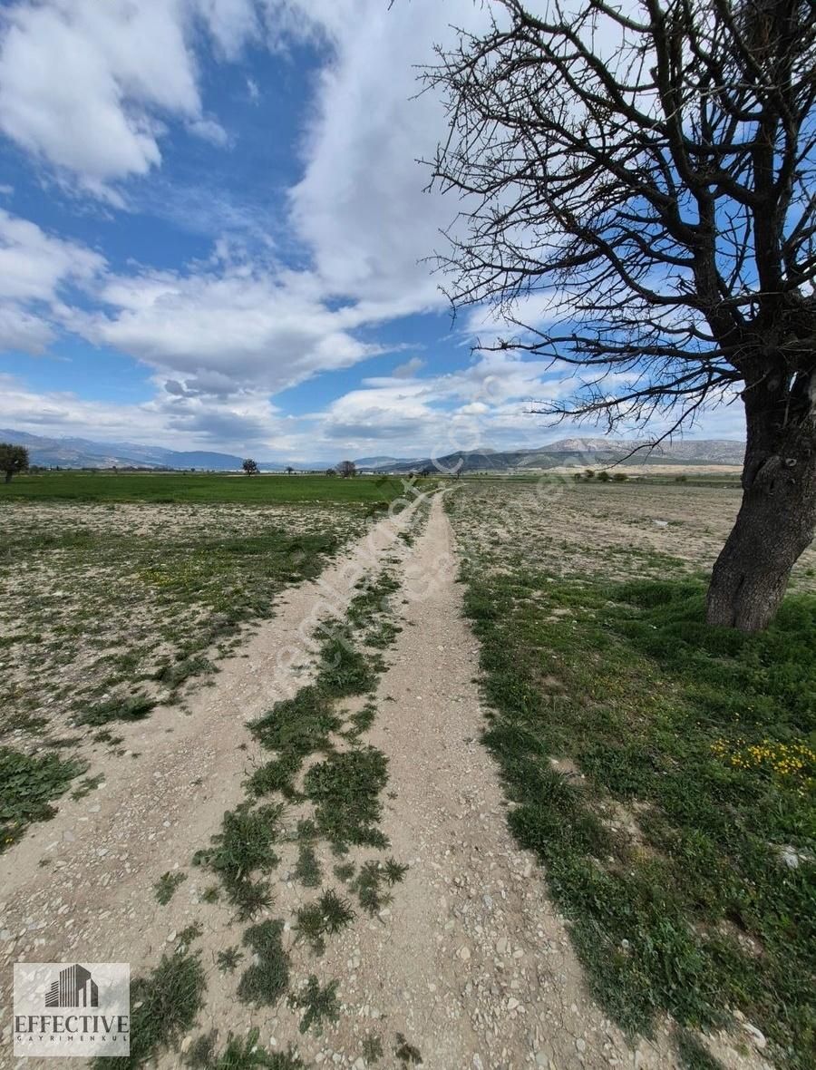 Korkuteli Yeşilyayla'da 1988 M² Satılık Tarla *ref511 - Görsel 19