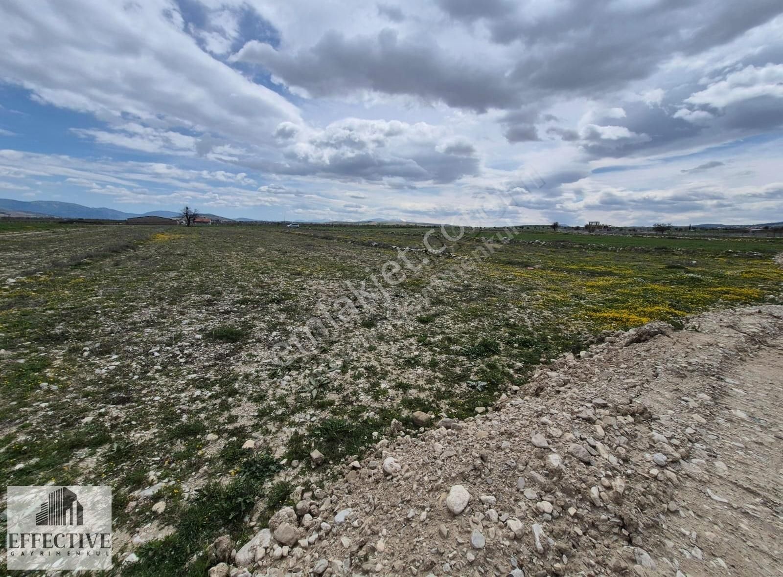 Korkuteli Yeşilyayla'da 1988 M² Satılık Tarla *ref511 - Görsel 8